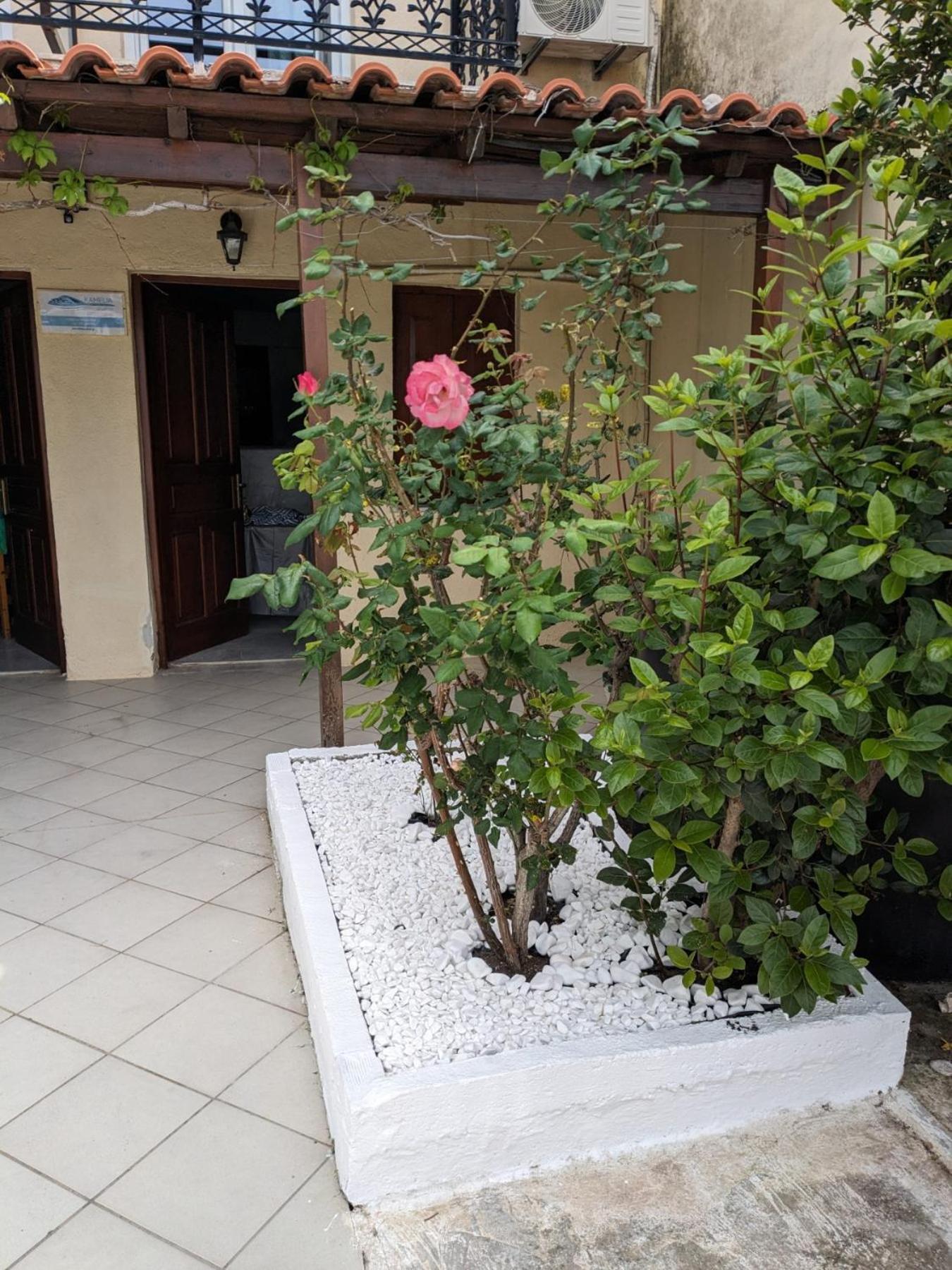 Kamelia Apartment กอกการี ภายนอก รูปภาพ